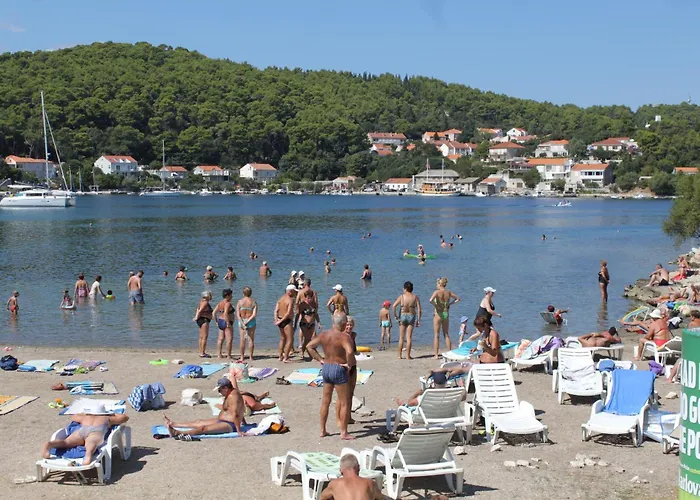 Affittacamere With Wifi - 24232 3*